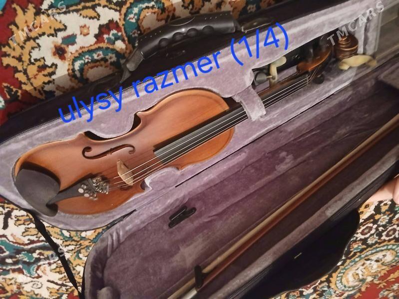 Skripka Skripka Skripkaa - 11 мкр - img 2