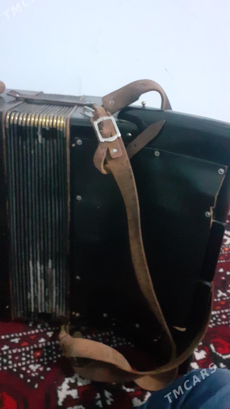 Akardion - Görogly (Tagta) - img 4