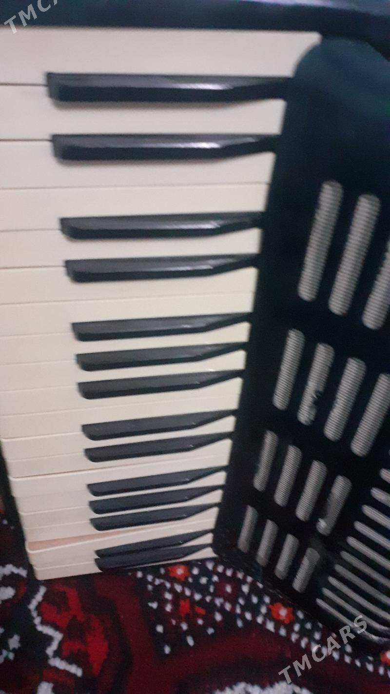 Akardion - Görogly (Tagta) - img 3