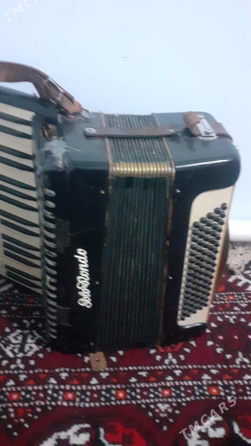 Akardion - Görogly (Tagta) - img 5