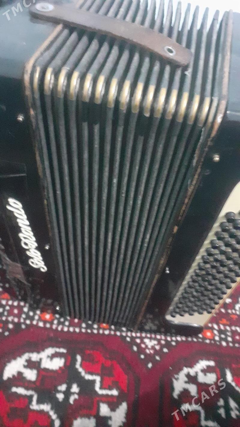 Akardion - Görogly (Tagta) - img 2