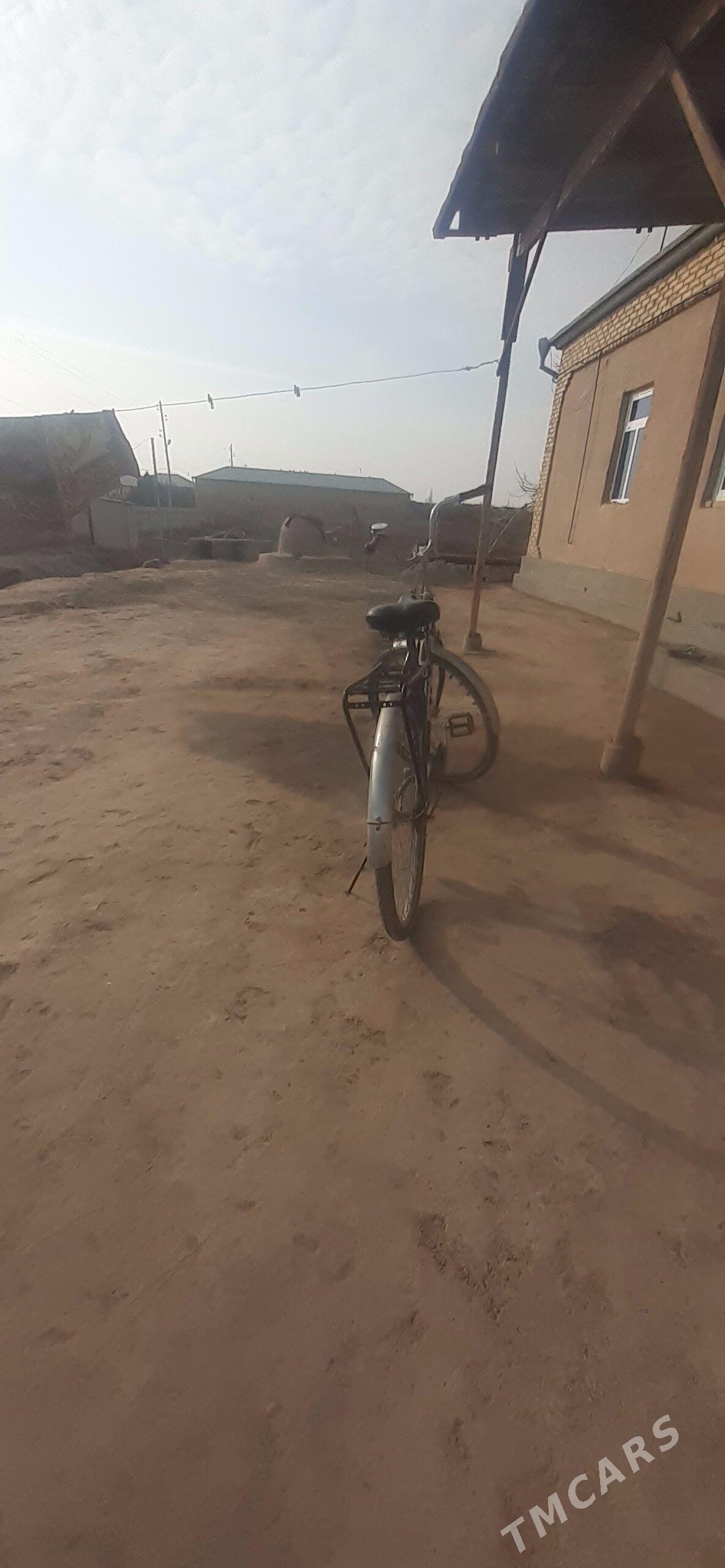 STELIS - Гороглы (Тагта) - img 5