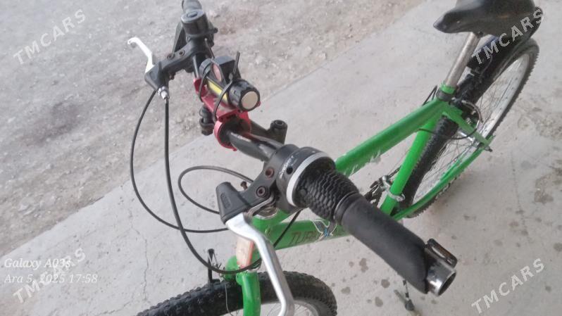 tigir - Bereket - img 4