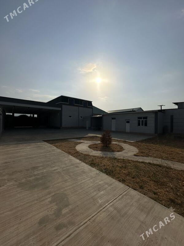 Garadamak satlyk - Aşgabat - img 3