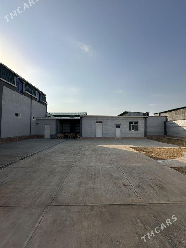 Garadamak satlyk - Aşgabat - img 2