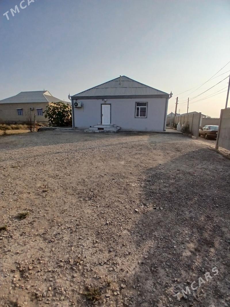 Satlyk Jay - Mary - img 2