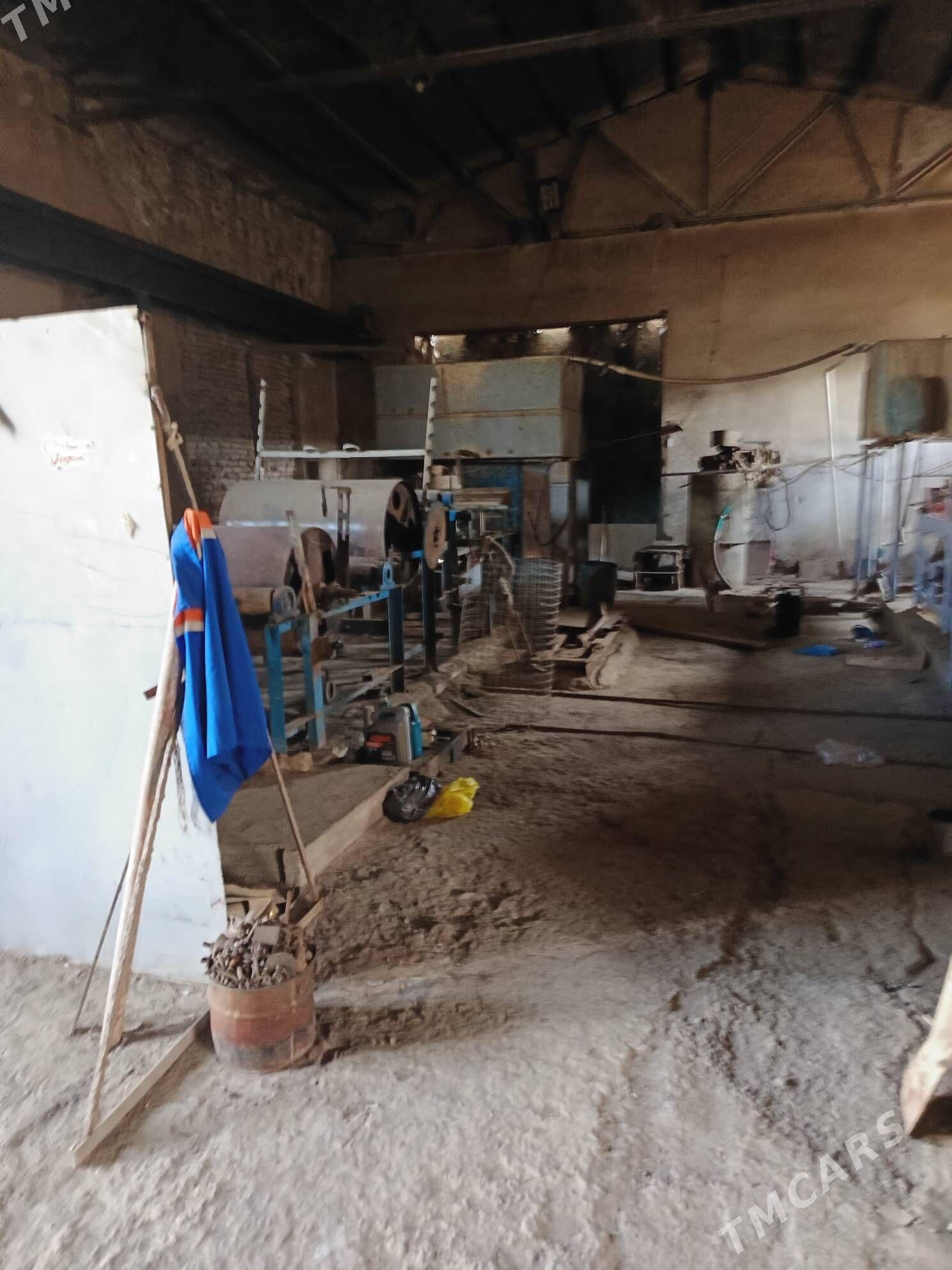 Bumaga seh - Daşoguz - img 2