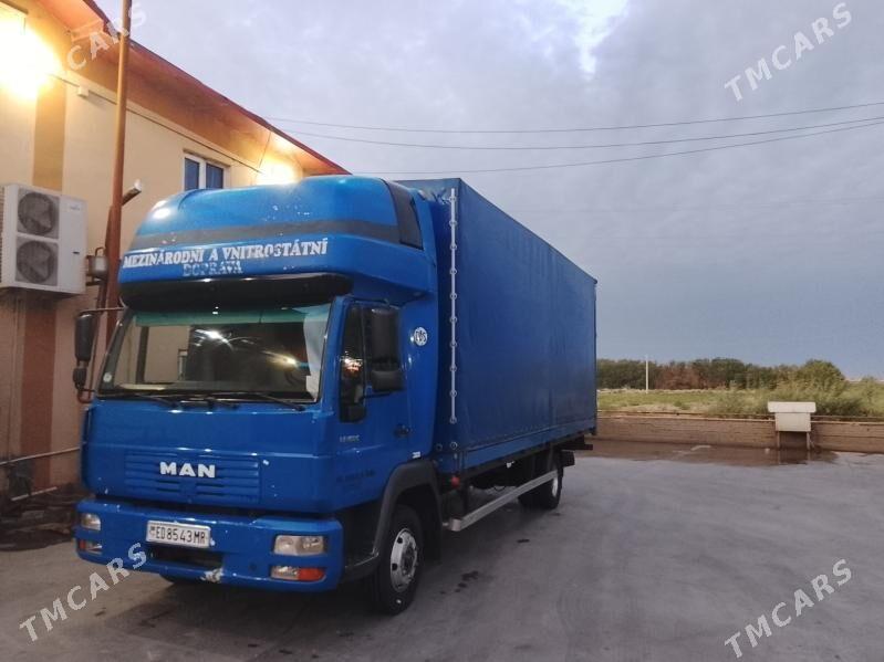 Man TGX 2002 - 335 000 TMT - Mary - img 2