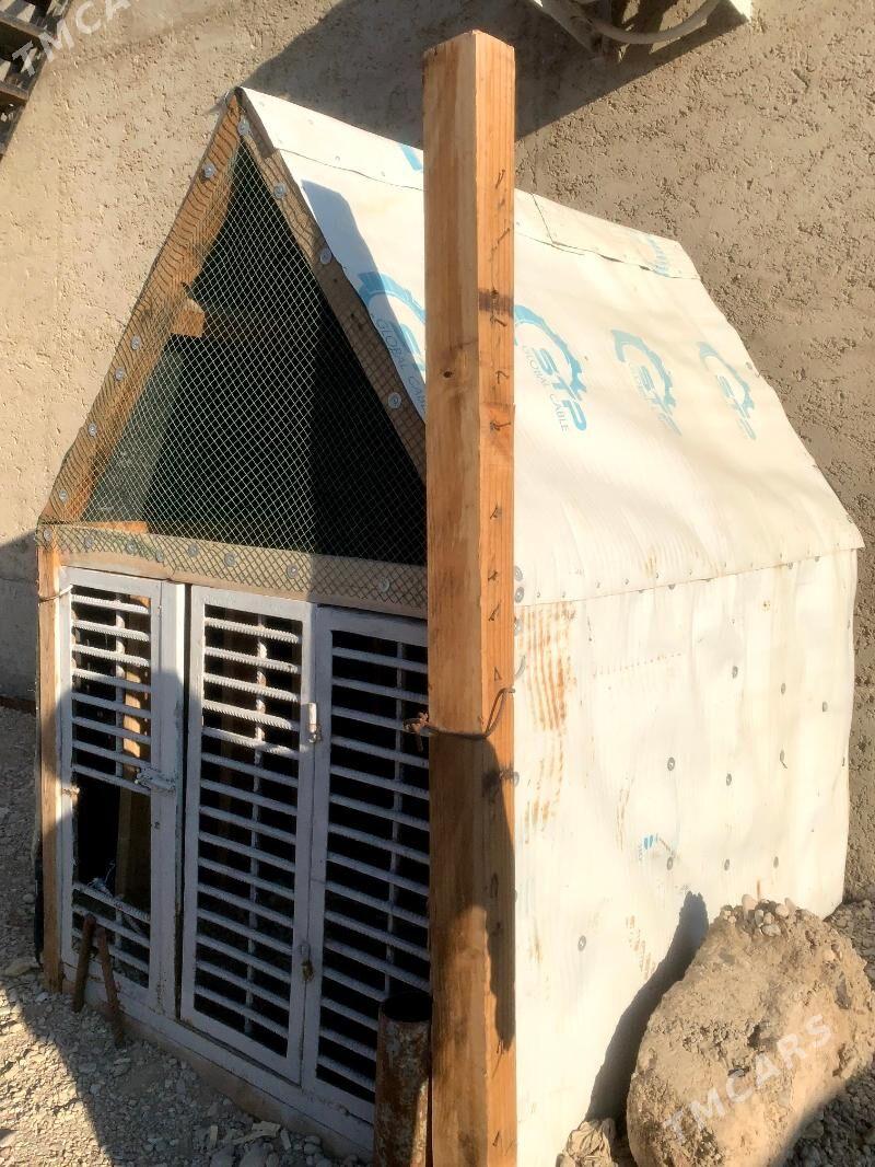 it yatak - Balkanabat - img 2