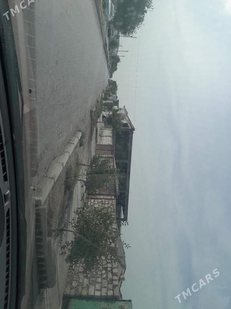 133 Гоша кочан угры - Balkanabat - img 2