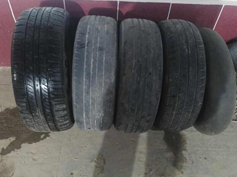 Pakryshka 200 TMT - Дянев - img 2