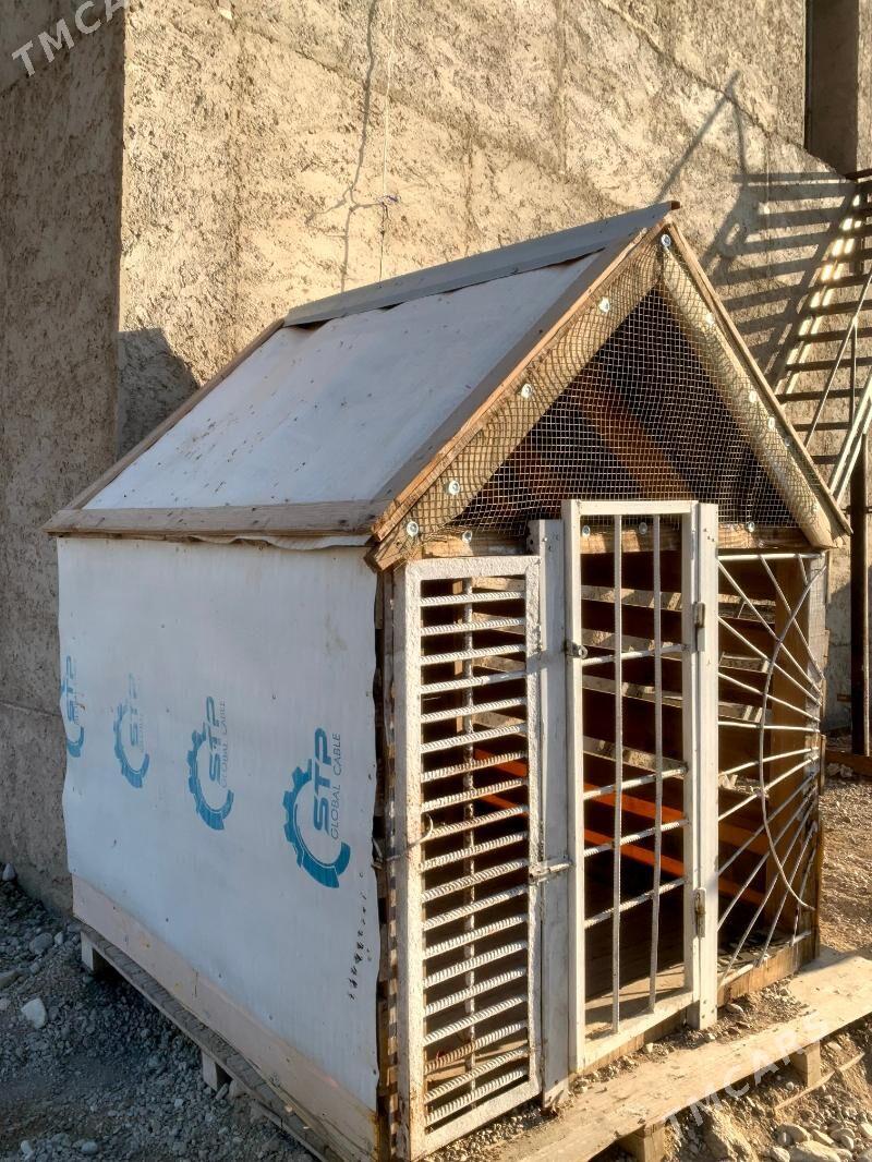 it yatak - Balkanabat - img 2