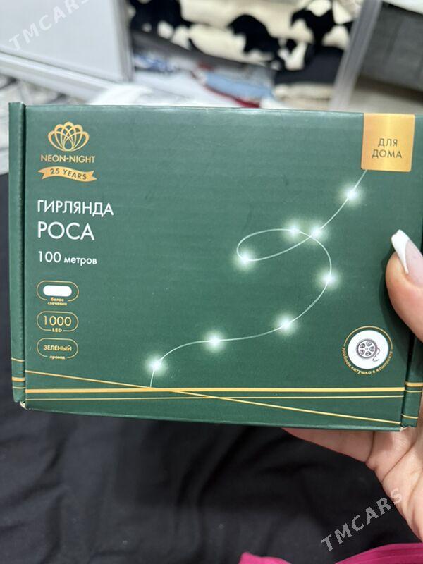 cyra Rosa - Ашхабад - img 3