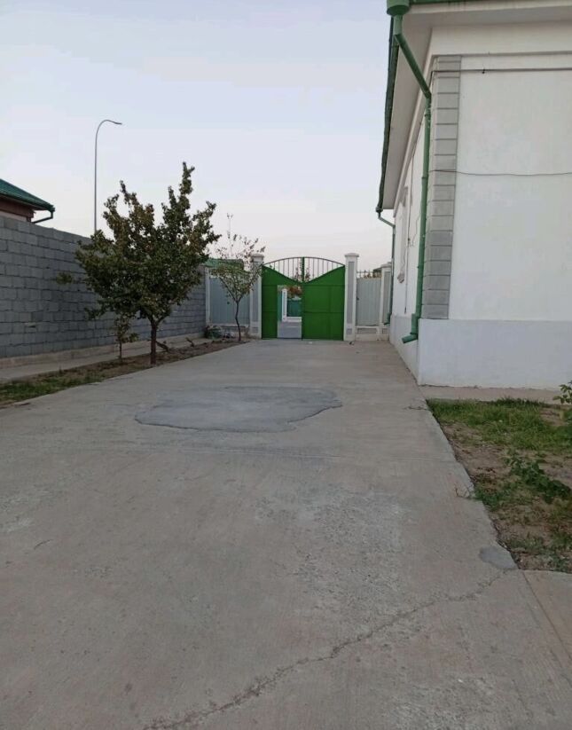 Taze Zaman - Тязе заман - img 4