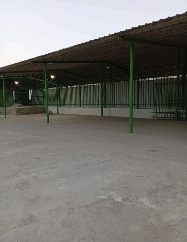 Taze Zaman - Тязе заман - img 3