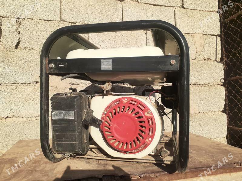 Diwijok - Теджен - img 2