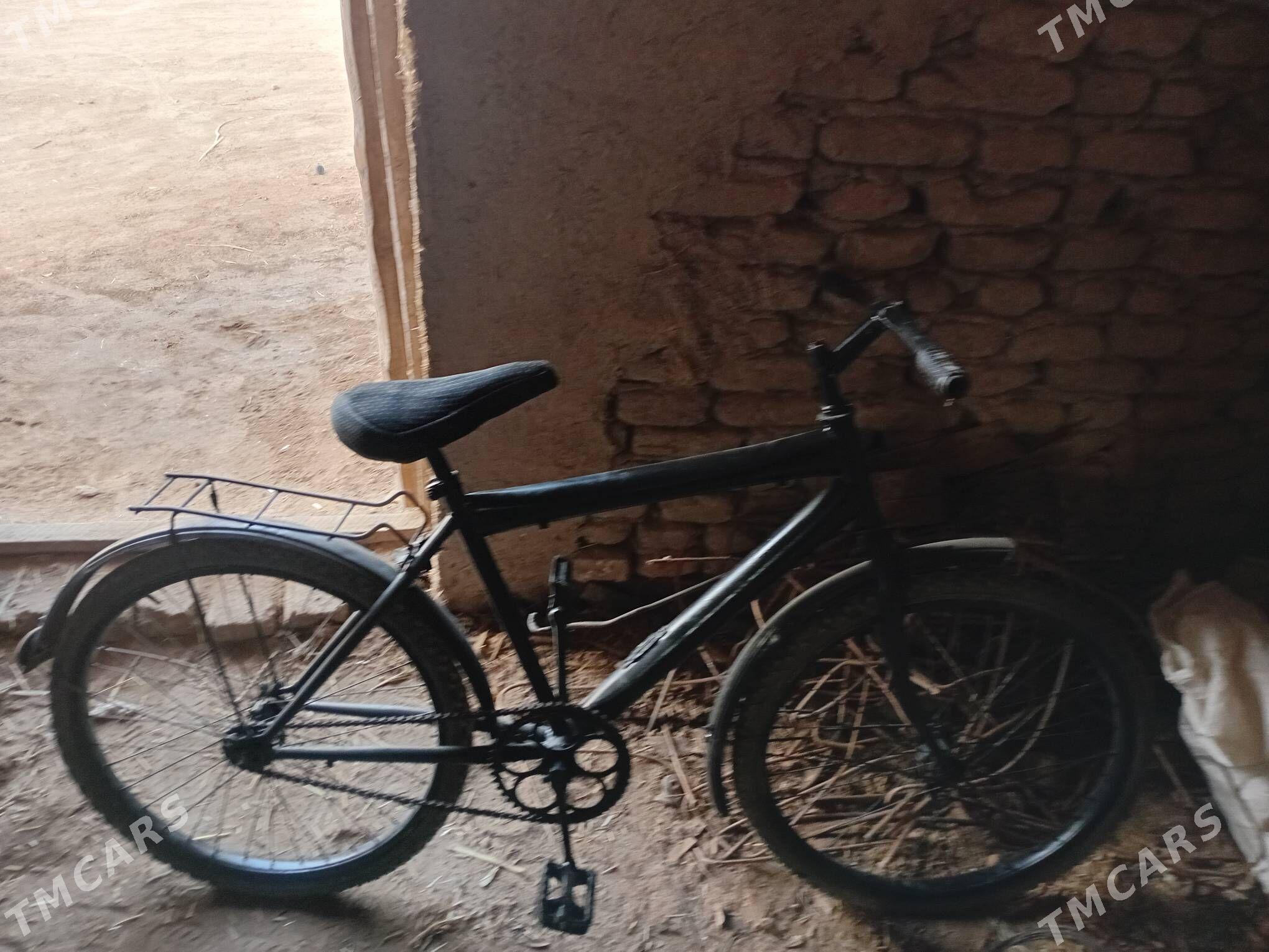 Tigir. - Гороглы (Тагта) - img 2