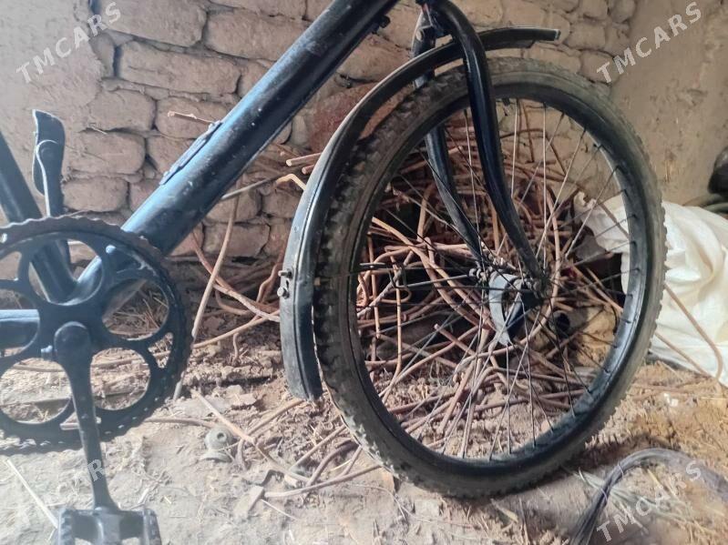 Tigir. - Гороглы (Тагта) - img 4