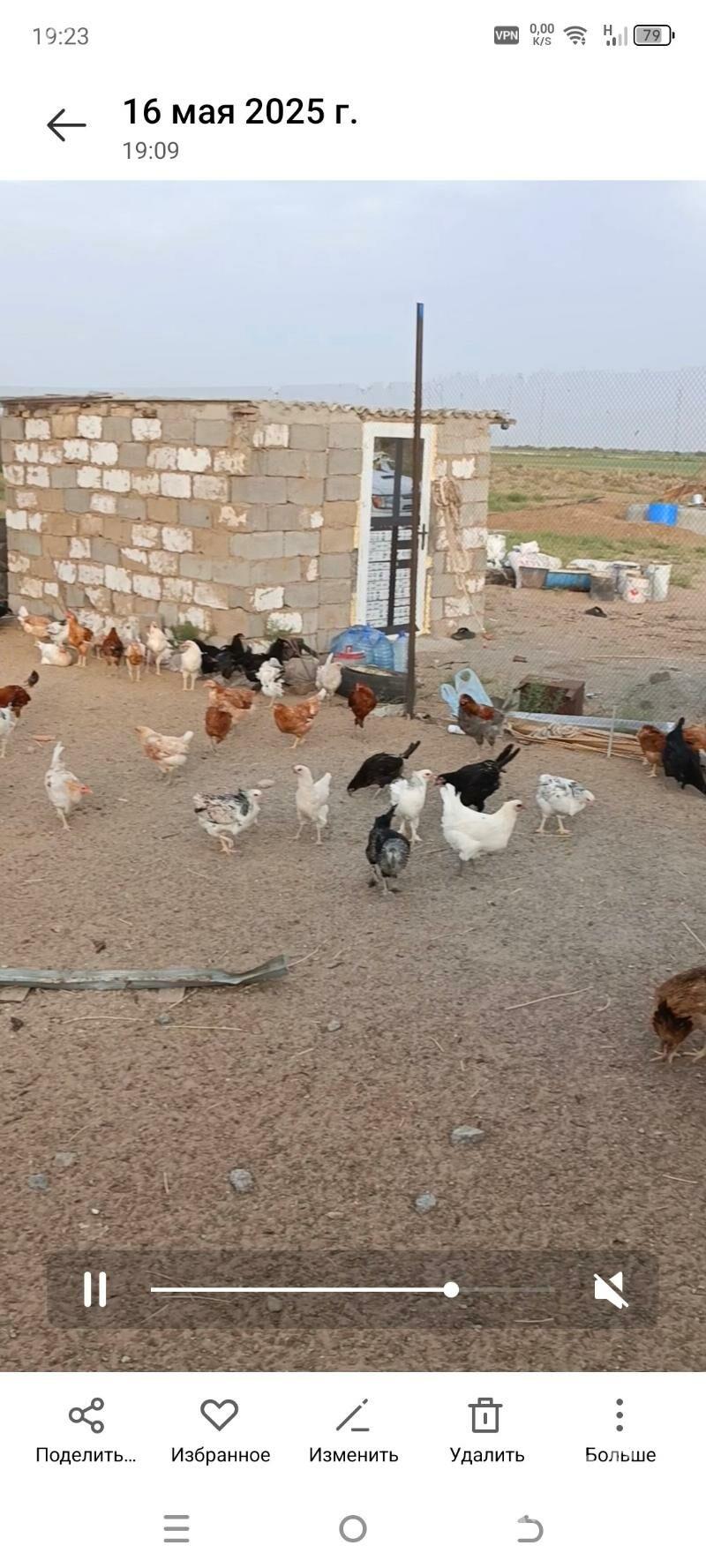 boş yer saryk oba - Ак-Бугдайский этрап - img 6