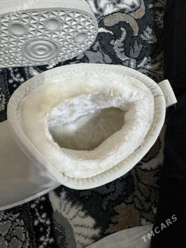 adik - Aşgabat - img 2