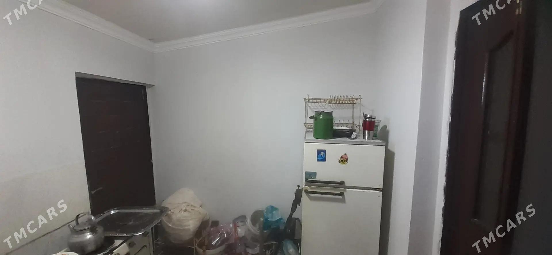 Satlyk jay - Mary - img 6