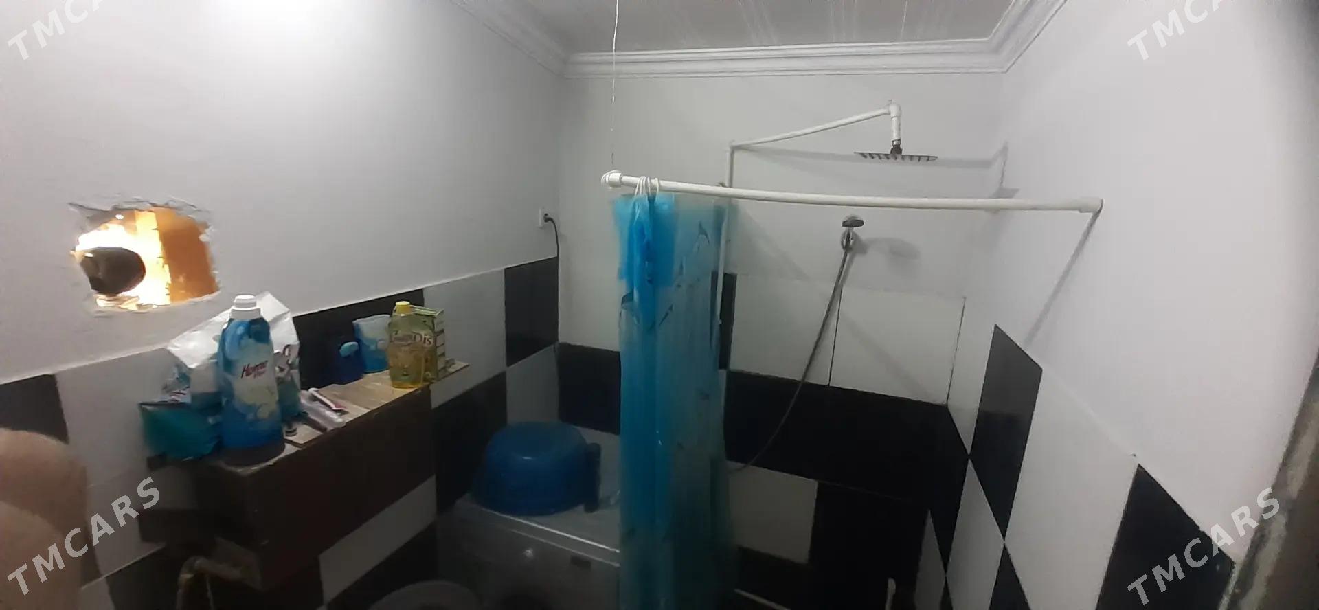 Satlyk jay - Mary - img 5