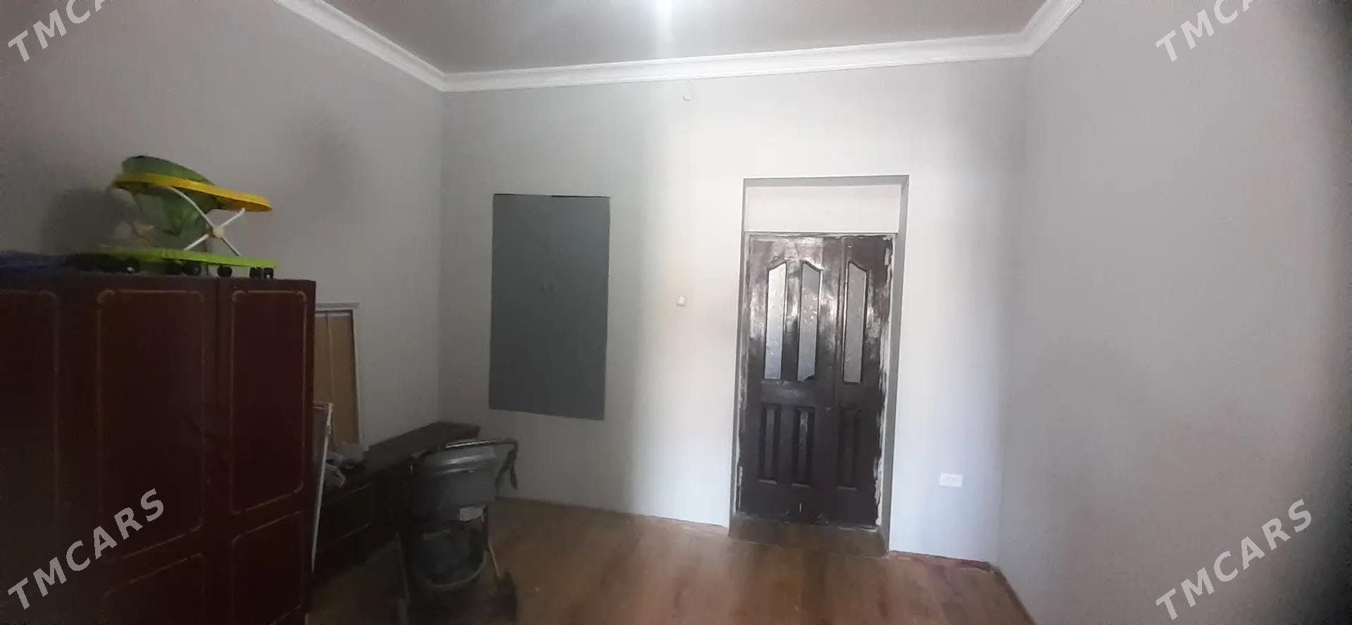 Satlyk jay - Mary - img 8