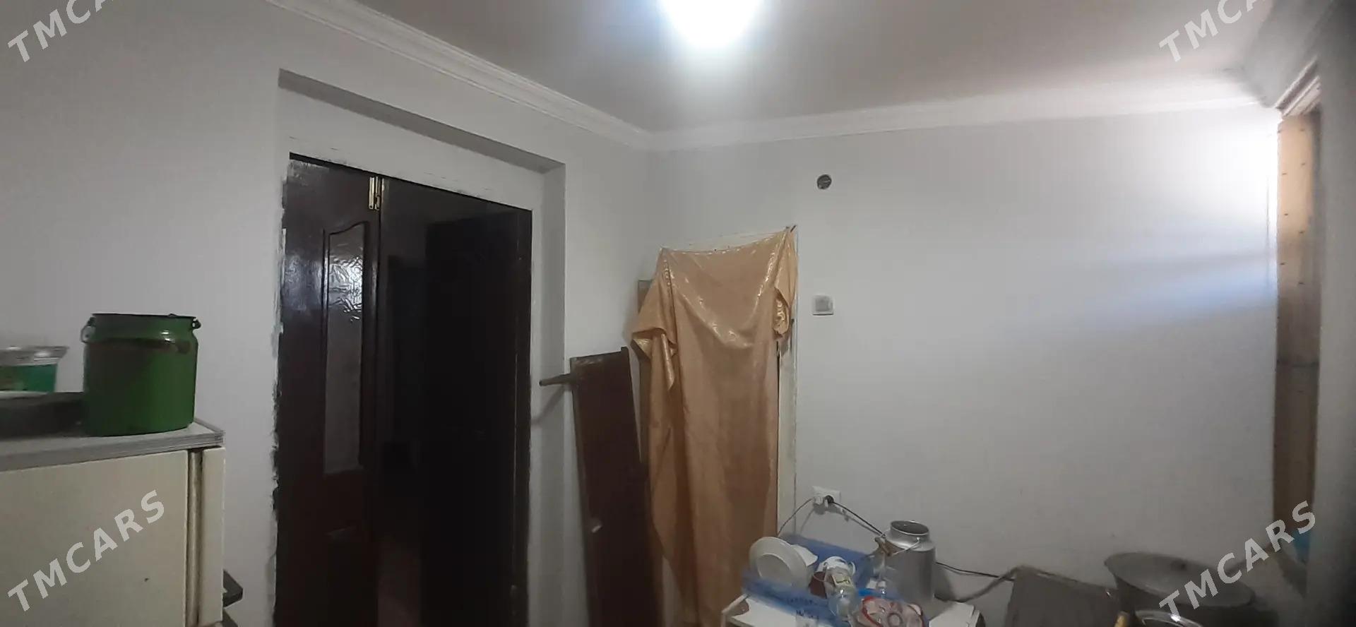 Satlyk jay - Mary - img 2