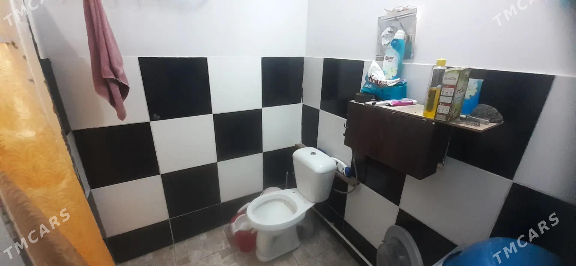 Satlyk jay - Mary - img 3