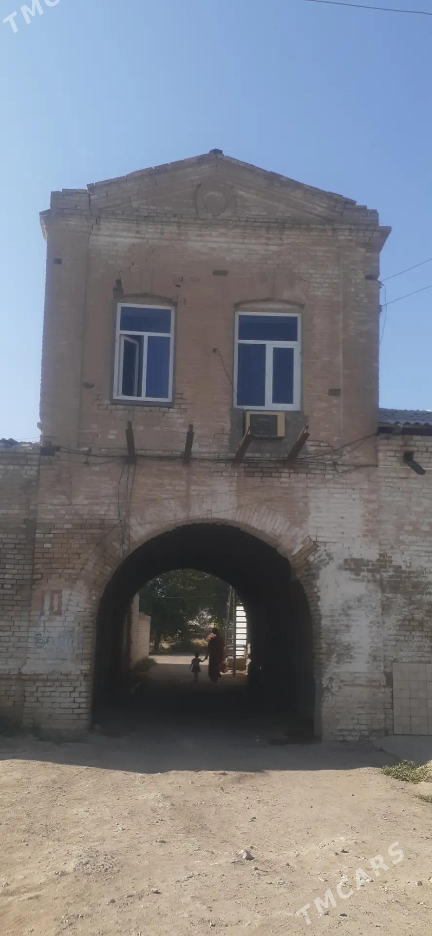 Satlyk jay - Mary - img 10