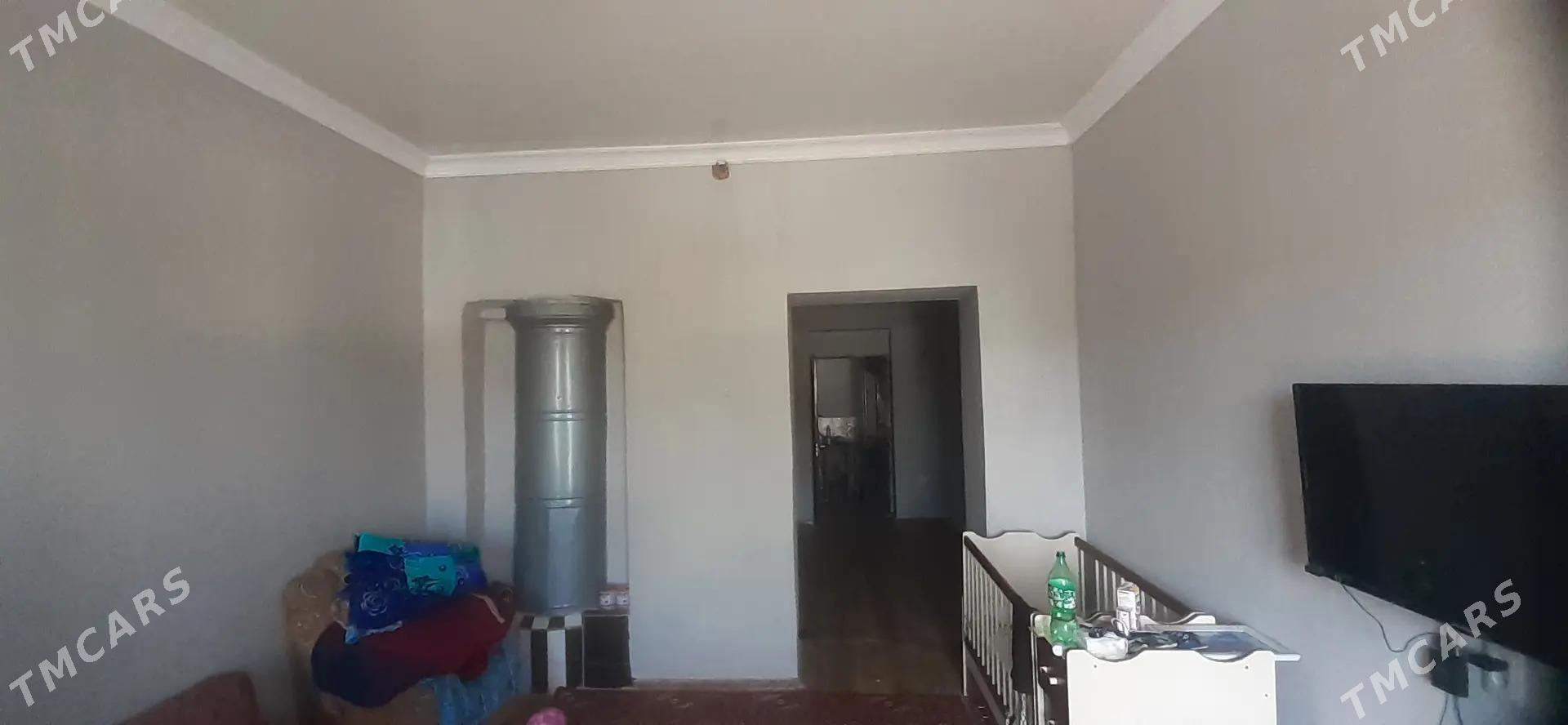 Satlyk jay - Mary - img 9