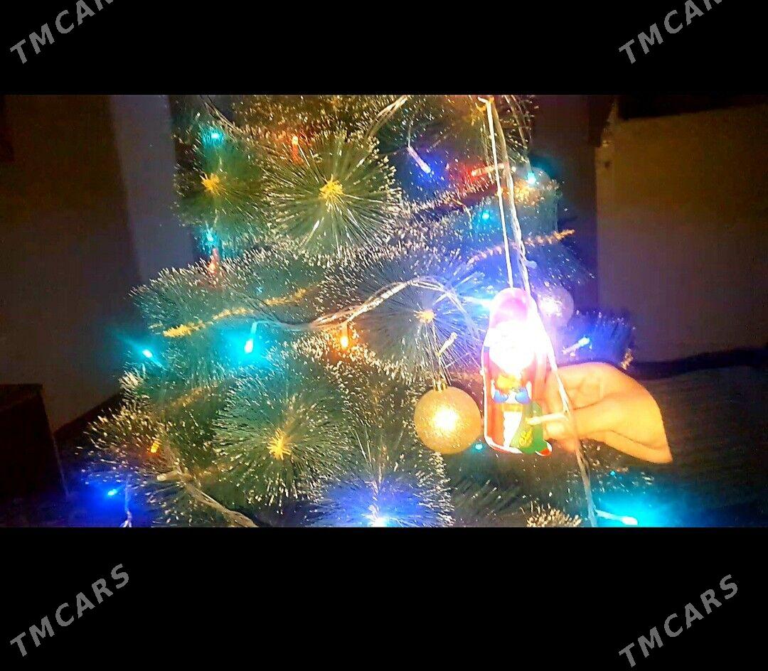 ёлка arça - Daşoguz - img 3