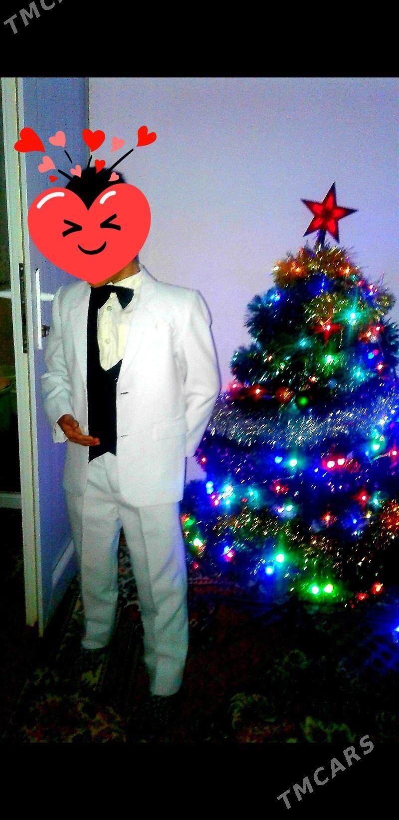 ёлка arça - Daşoguz - img 2