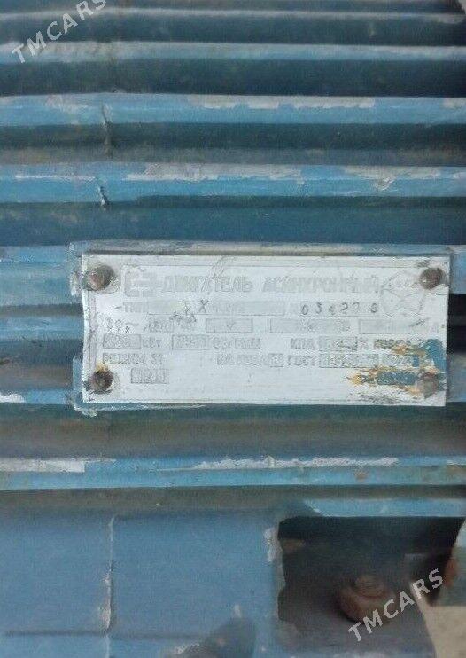 электро двигатель - Mary - img 1