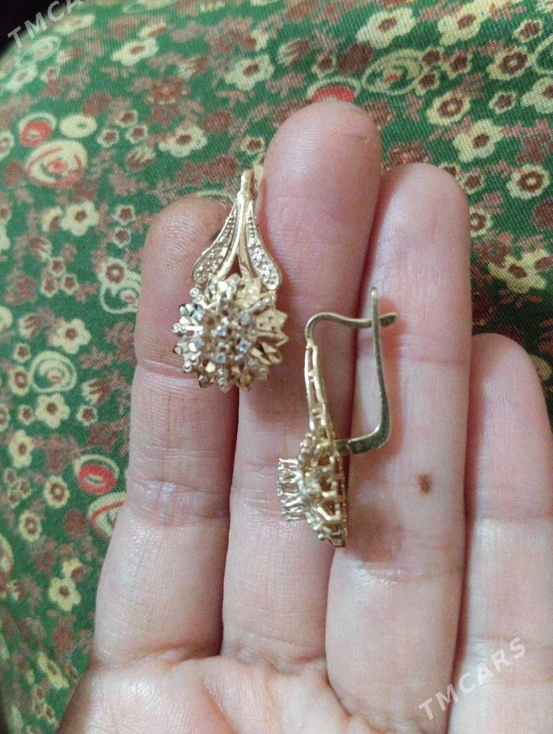 Gyzyl gulaksyrga - Кëши - img 2