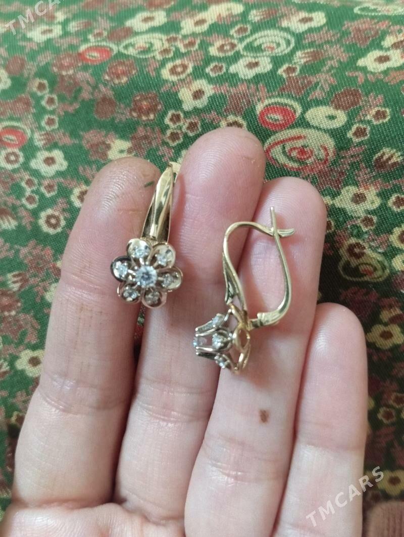 Gyzyl gulaksyrga - Кëши - img 2