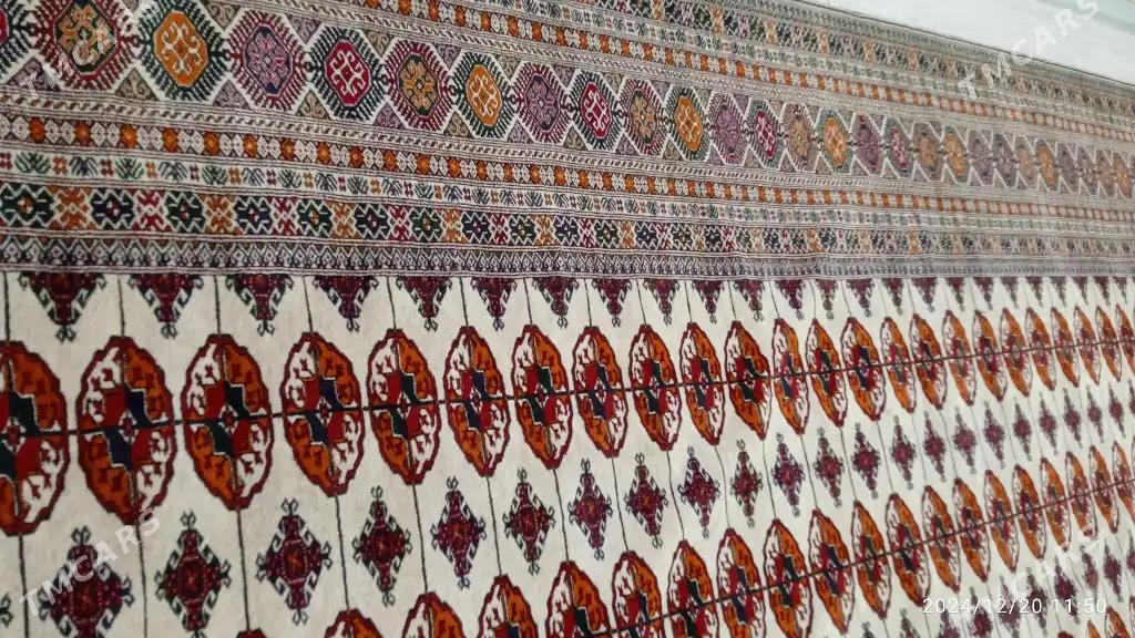 Haly - Gyzylarbat - img 3