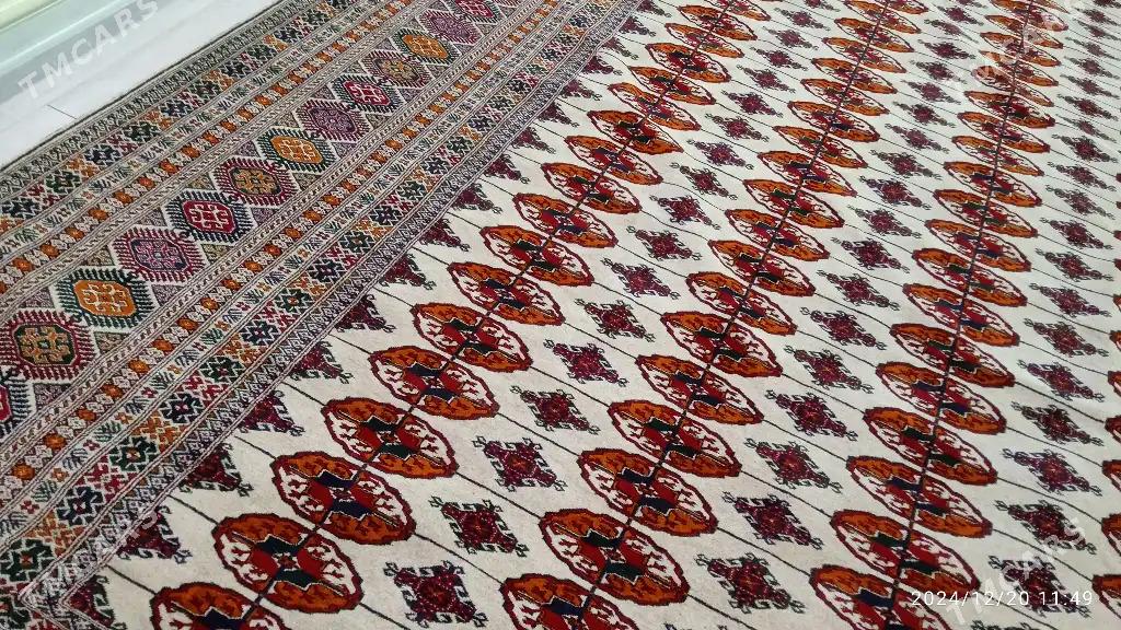 Haly - Gyzylarbat - img 2