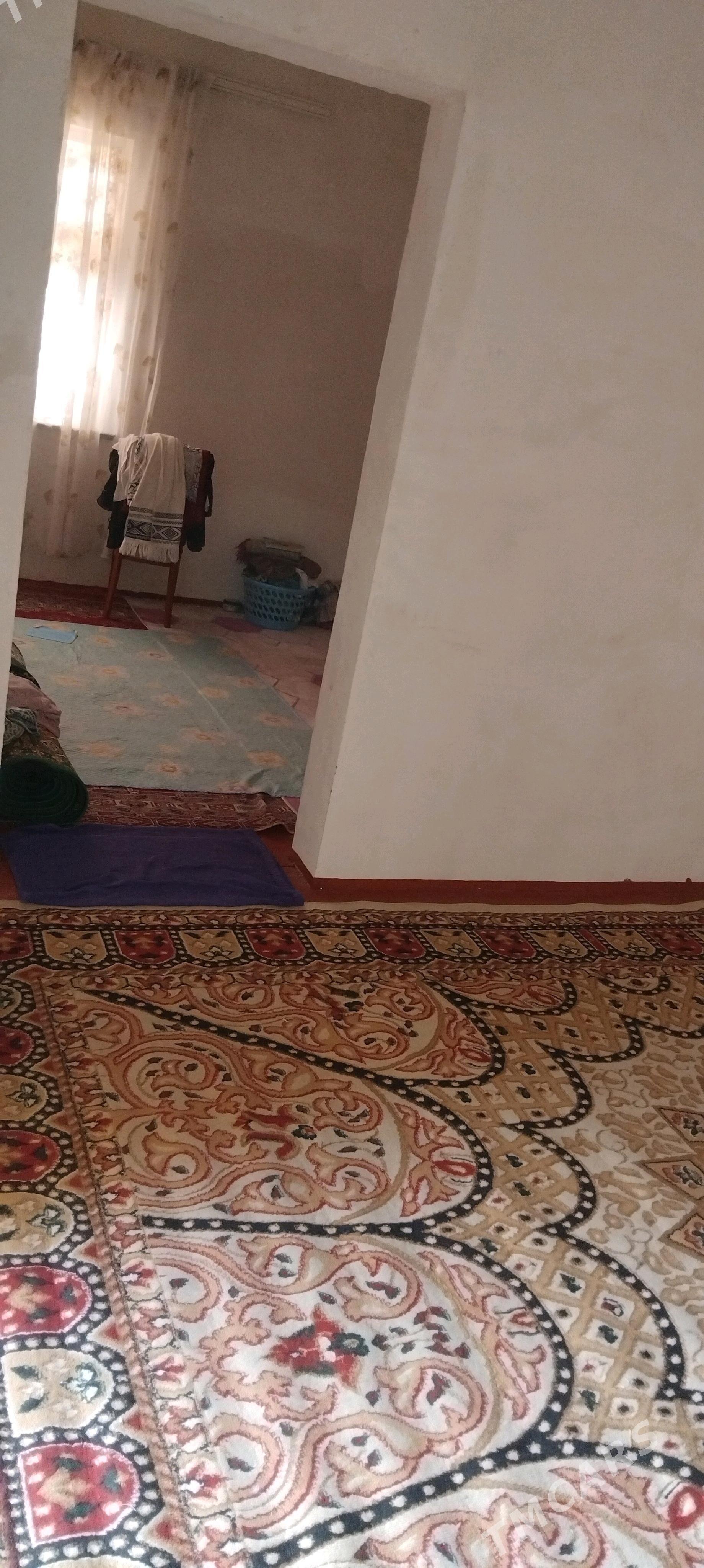 dimtrde satlyk jay - Mary - img 5