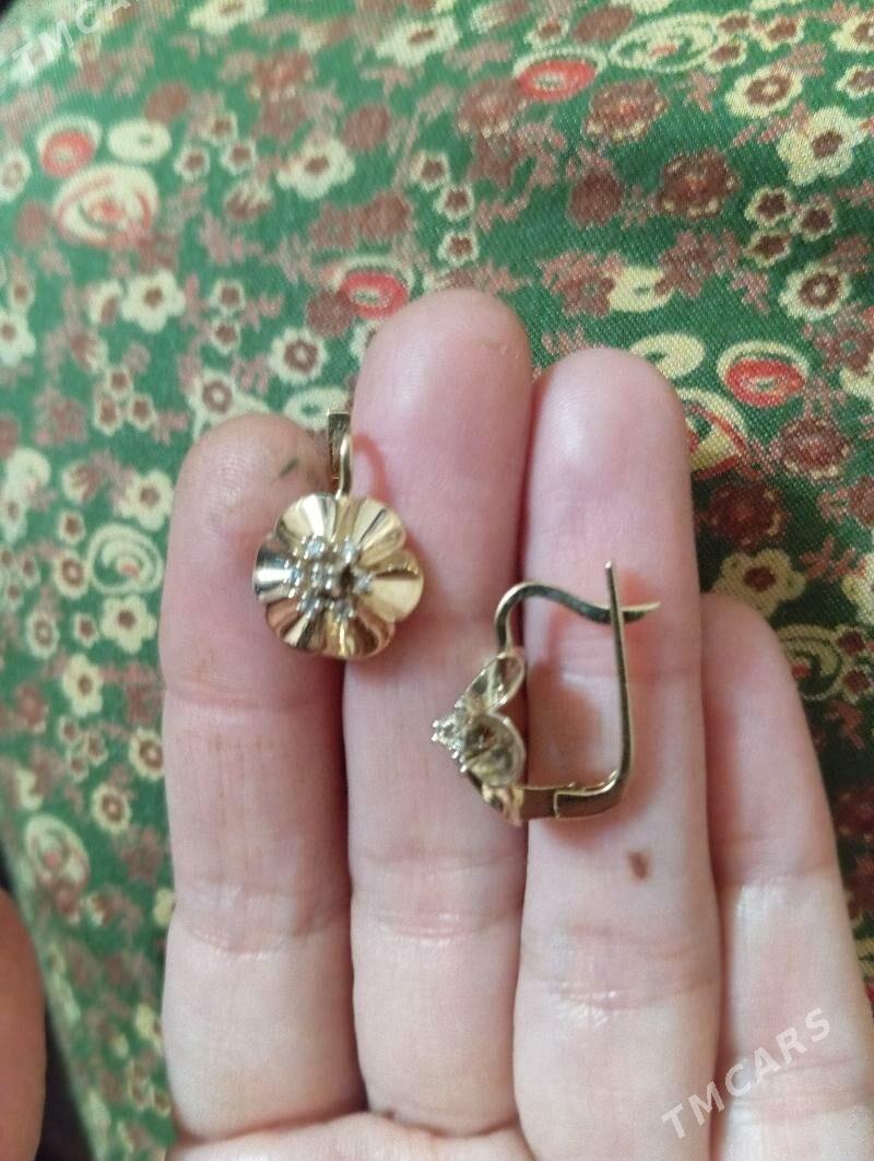 Gyzyl gulaksyrga - Köşi - img 2