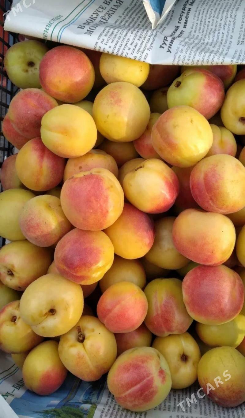 Nahal baglar - Aşgabat - img 4