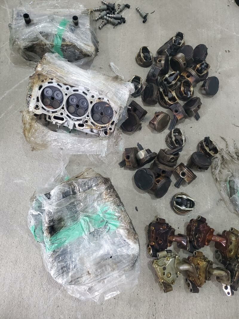 galowka 2.4 1 600 TMT - Mary - img 4