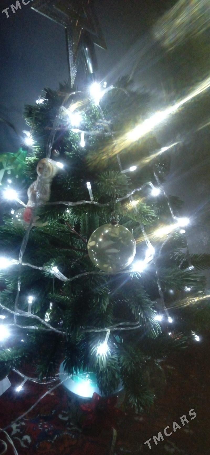 ТОКЛЫ. ОРС АЙЛАНЯН ЁЛКА - Mary - img 6