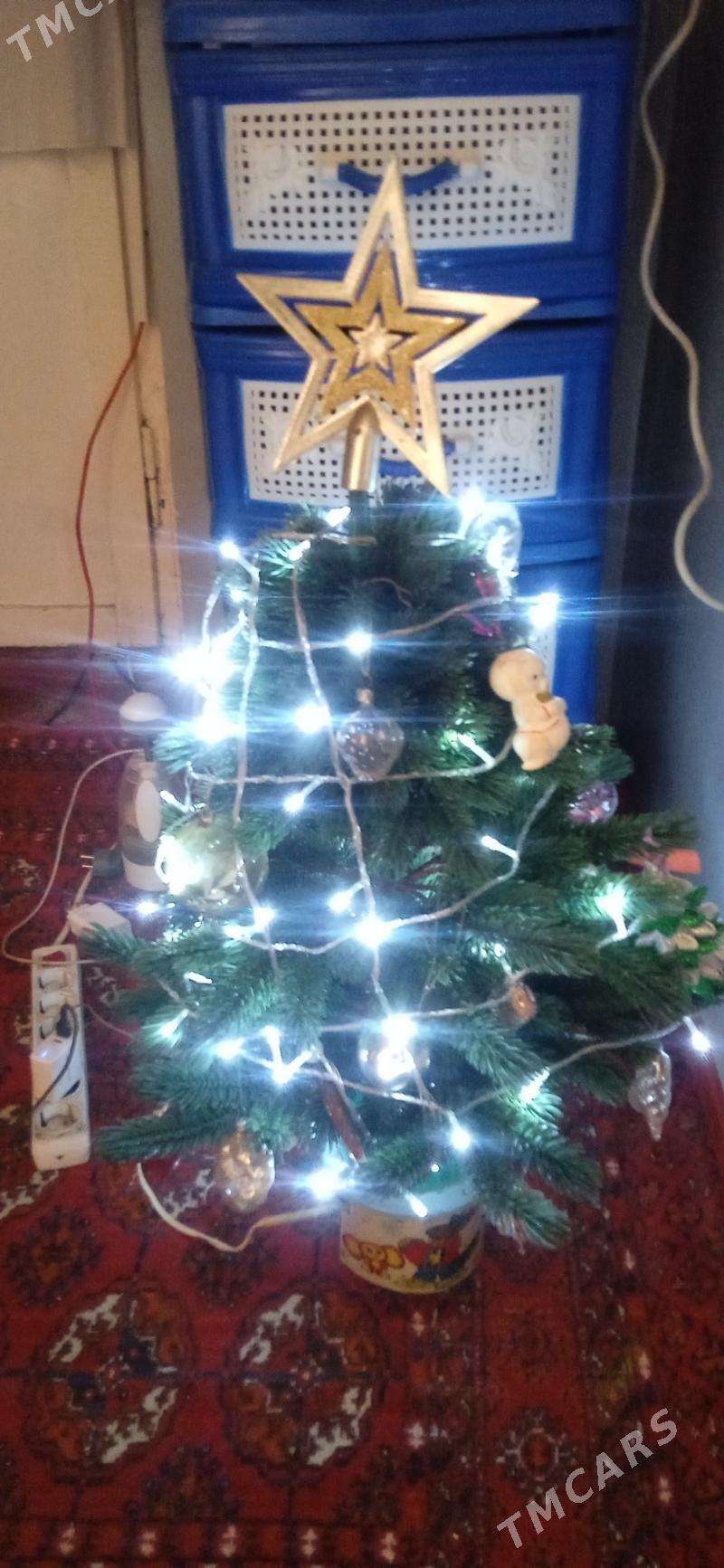 ТОКЛЫ. ОРС АЙЛАНЯН ЁЛКА - Mary - img 7