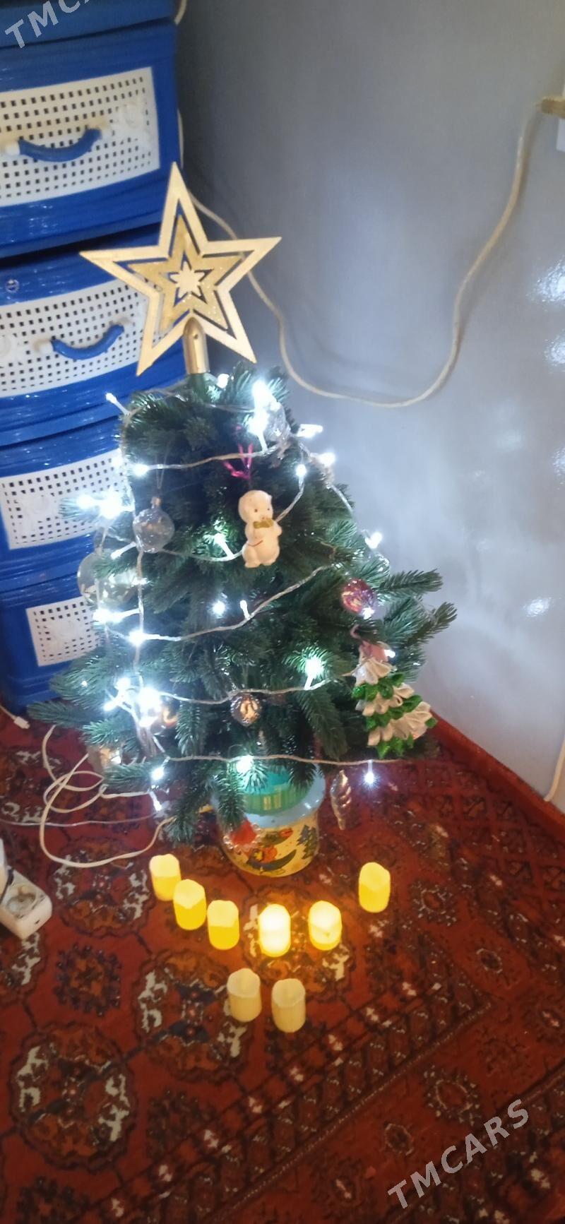 ТОКЛЫ. ОРС АЙЛАНЯН ЁЛКА - Mary - img 2