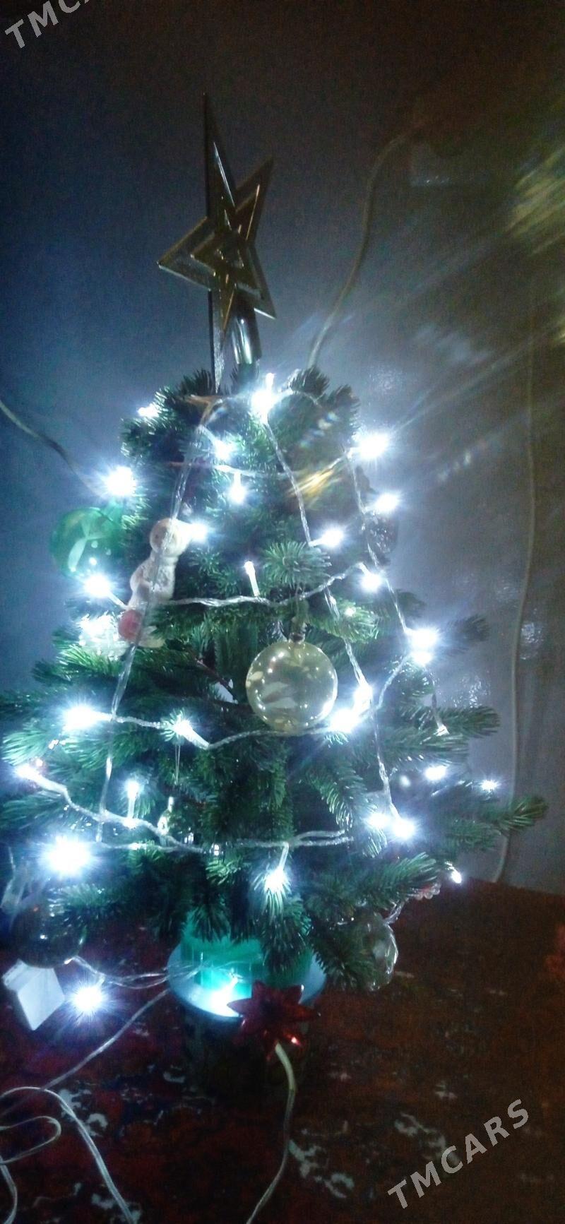 ТОКЛЫ. ОРС АЙЛАНЯН ЁЛКА - Mary - img 5