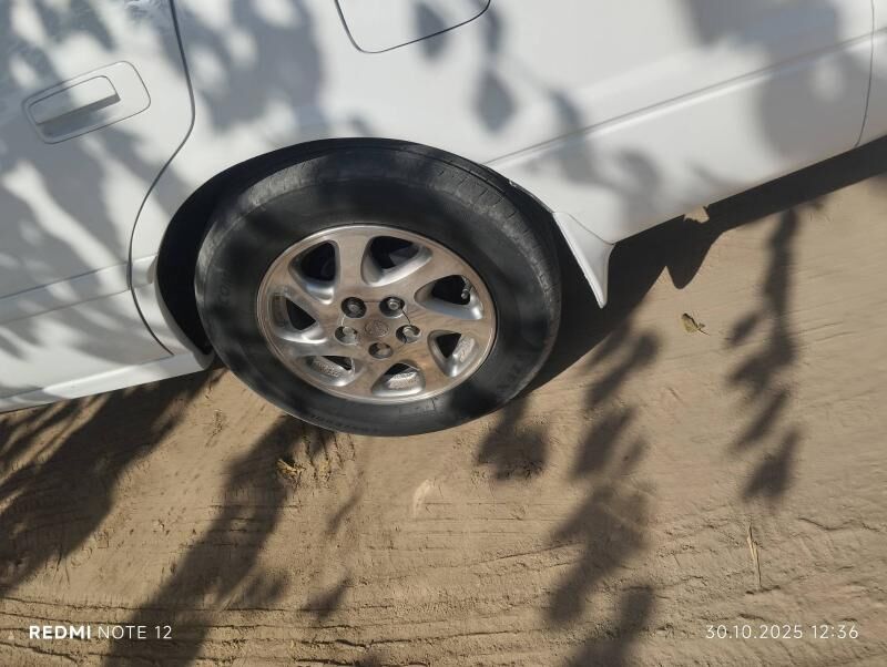 Disga 3 000 TMT - Саят - img 2