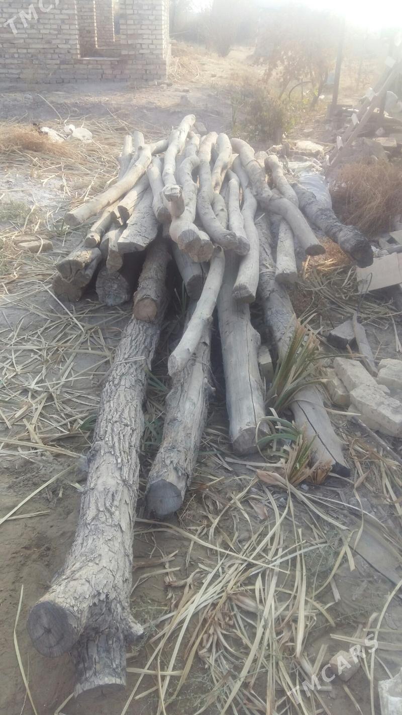 Балки - Туркменабат - img 2