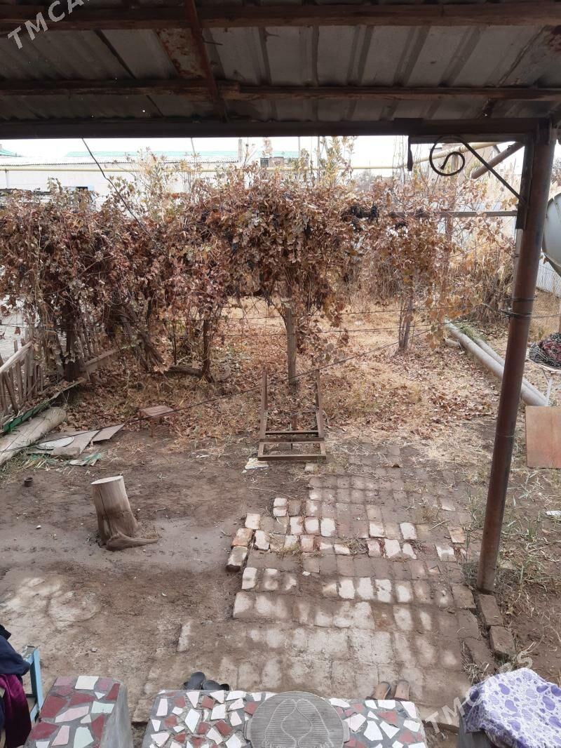 satlyk jay - Туркменабат - img 9