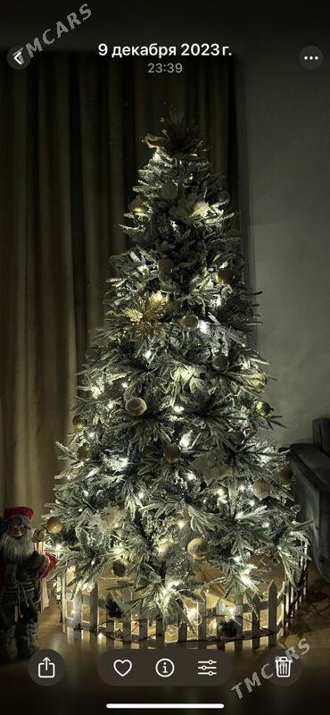 Ёлка - Ашхабад - img 4